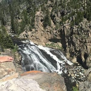 Meet your Posher, Joey